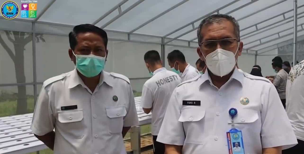BUDIDAYA HIDROPONIK BAGI KLIEN BALAI BALAI BESAR REHABILITASI BNN BUDIDAYA HIDROPONIK BAGI KLIEN BALAI BALAI BESAR REHABILITASI BNN